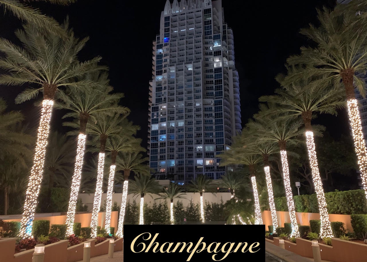 Champagne palm-trunk lighting Champagne Christmas lights wrapped around palm trunks along a condominium entrance.
