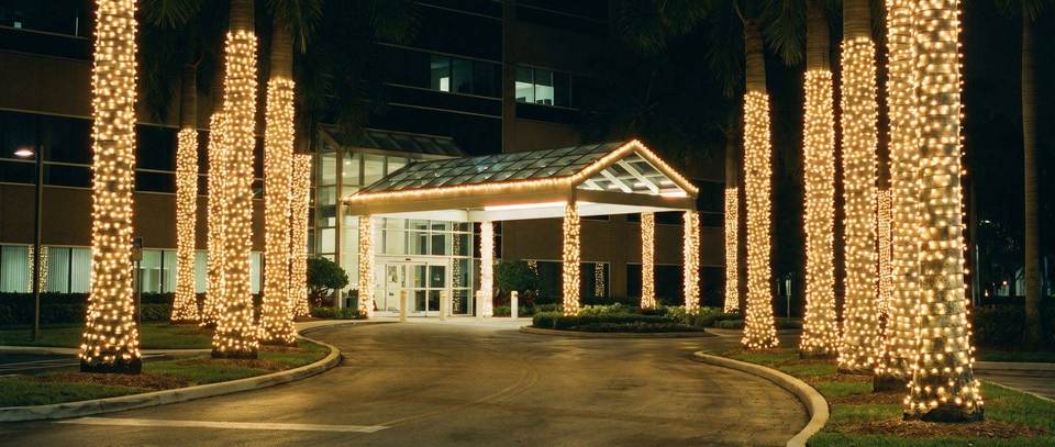 Office park entrance palms, Doral: warm white Christmas lighting idea for Doral, FL from Mr. Christmas Lights, (786) 228-6649