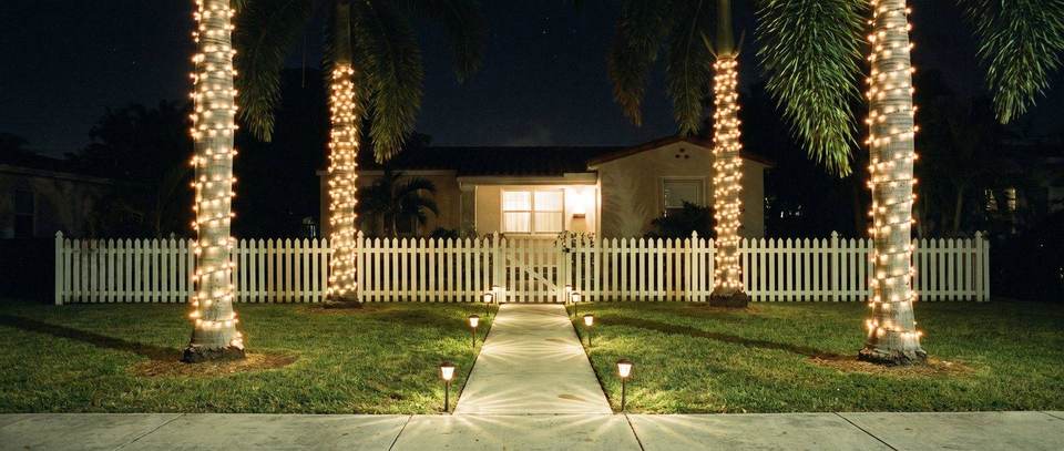 Queen palm wraps, South Miami front yard: warm white Christmas lighting idea for South Miami, FL from Mr. Christmas Lights, (786) 228-6649