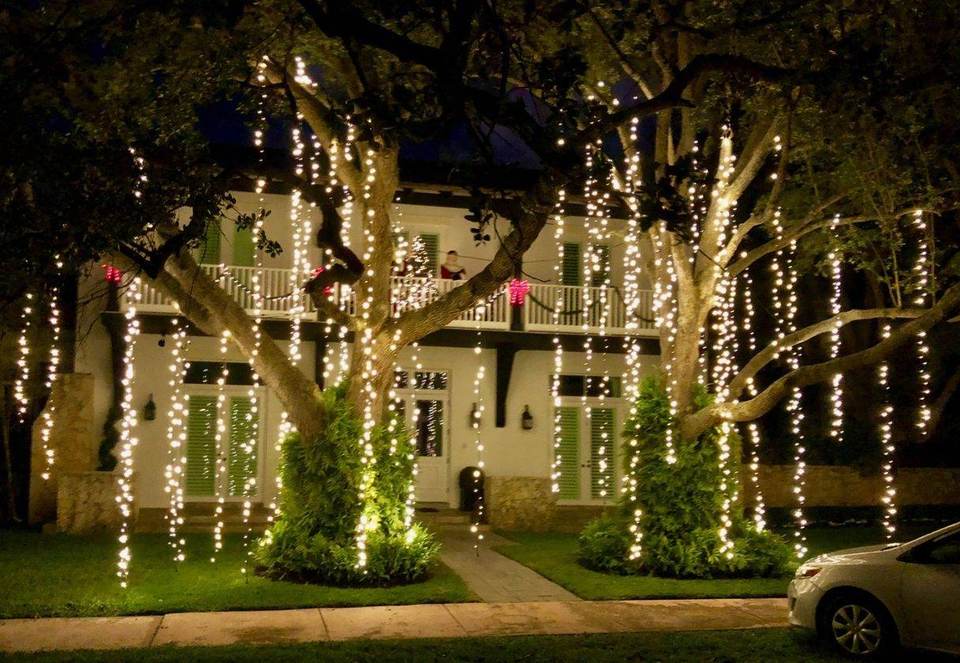 Spanish Moss Christmas lighting, Miami home White Spanish Moss Christmas lighting cascading through oak trees at a Miami home, Mr. Christmas Lights installation