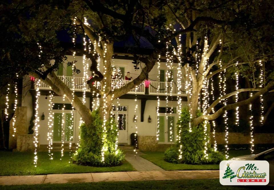 Spanish Moss lighting through the oaks Spanish Moss lighting through the oaks: real Christmas light installation by Mr. Christmas Lights in Miami, FL, (786) 228-6649