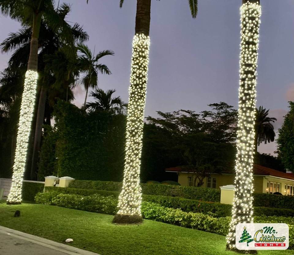 Palm cluster wrap Palm cluster wrap: real Christmas light installation by Mr. Christmas Lights in Miami, FL, (786) 228-6649