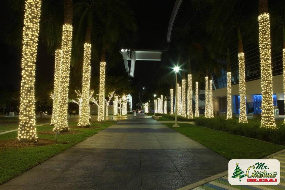Palm-lined plaza walkway Palm-lined plaza walkway: real Christmas light installation by Mr. Christmas Lights in Miami, FL, (786) 228-6649