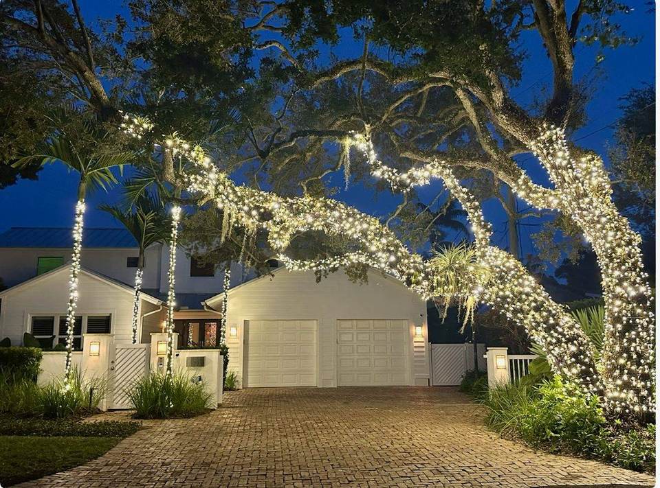 Palm tree and oak canopy Christmas lights, Miami Warm white Christmas lights wrapped on palm trees and a live oak canopy over a Miami driveway, installed by Mr. Christmas Lights, (786) 228-6649